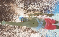 球王会-诺里奇不敌华德福德，防守漏洞需尽快修补，里德诺尔