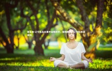 球王会-辽宁队在比赛中击败对手，取得胜利，辽宁队挑战成功