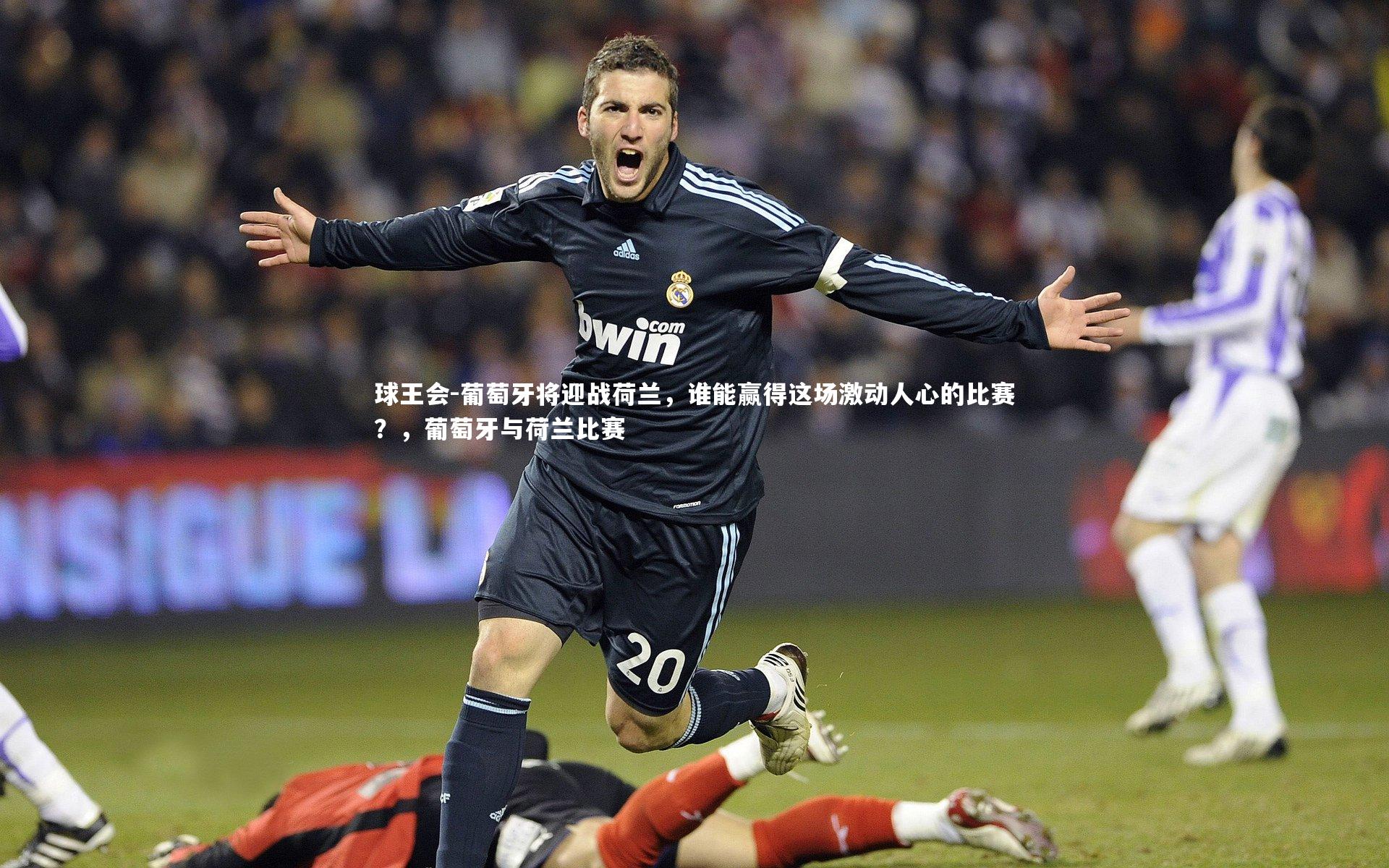 葡萄牙将迎战荷兰，谁能赢得这场激动人心的比赛？，葡萄牙与荷兰比赛