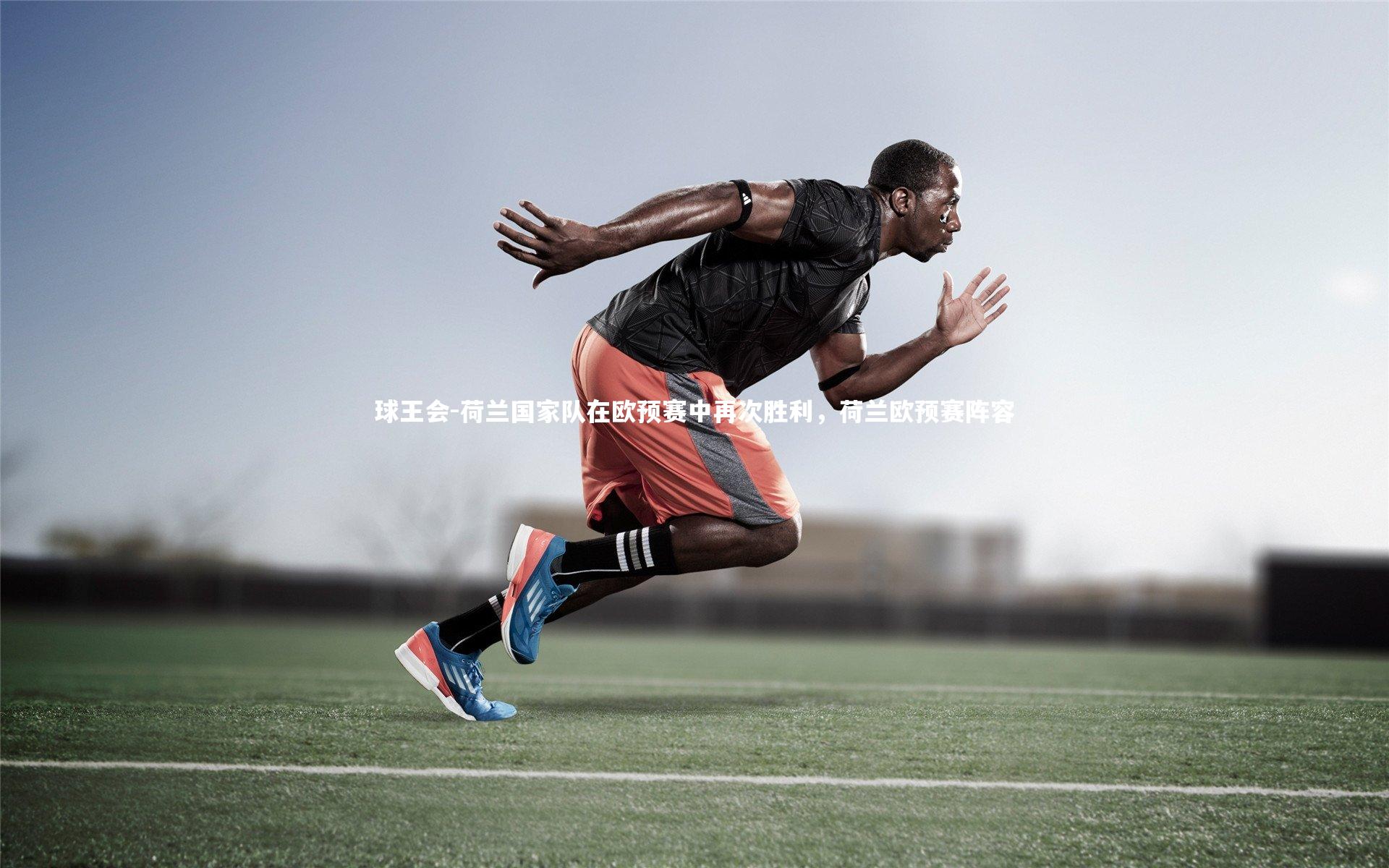 荷兰国家队在欧预赛中再次胜利，荷兰欧预赛阵容